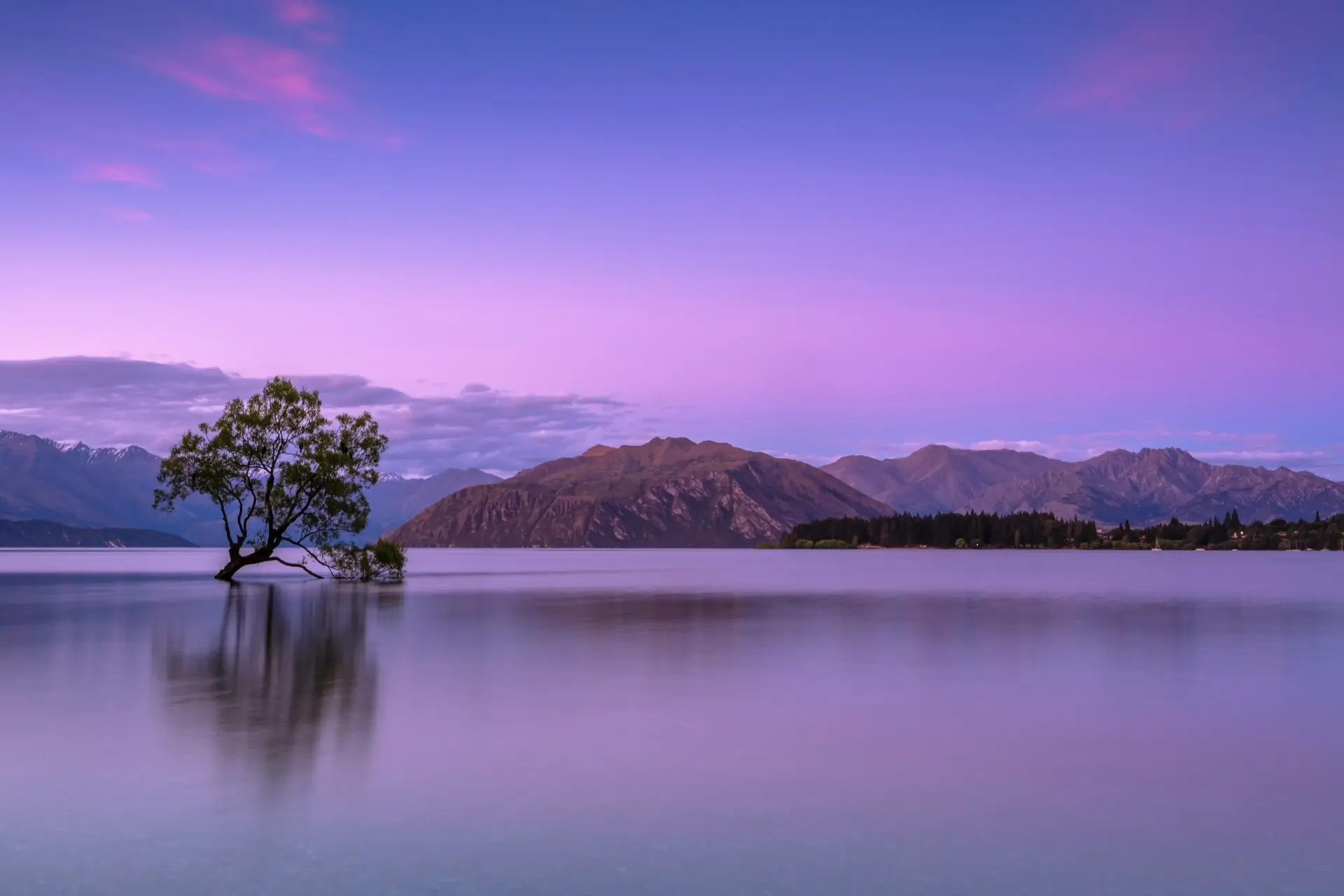Pink sunset island in Wanaka, New Zealand