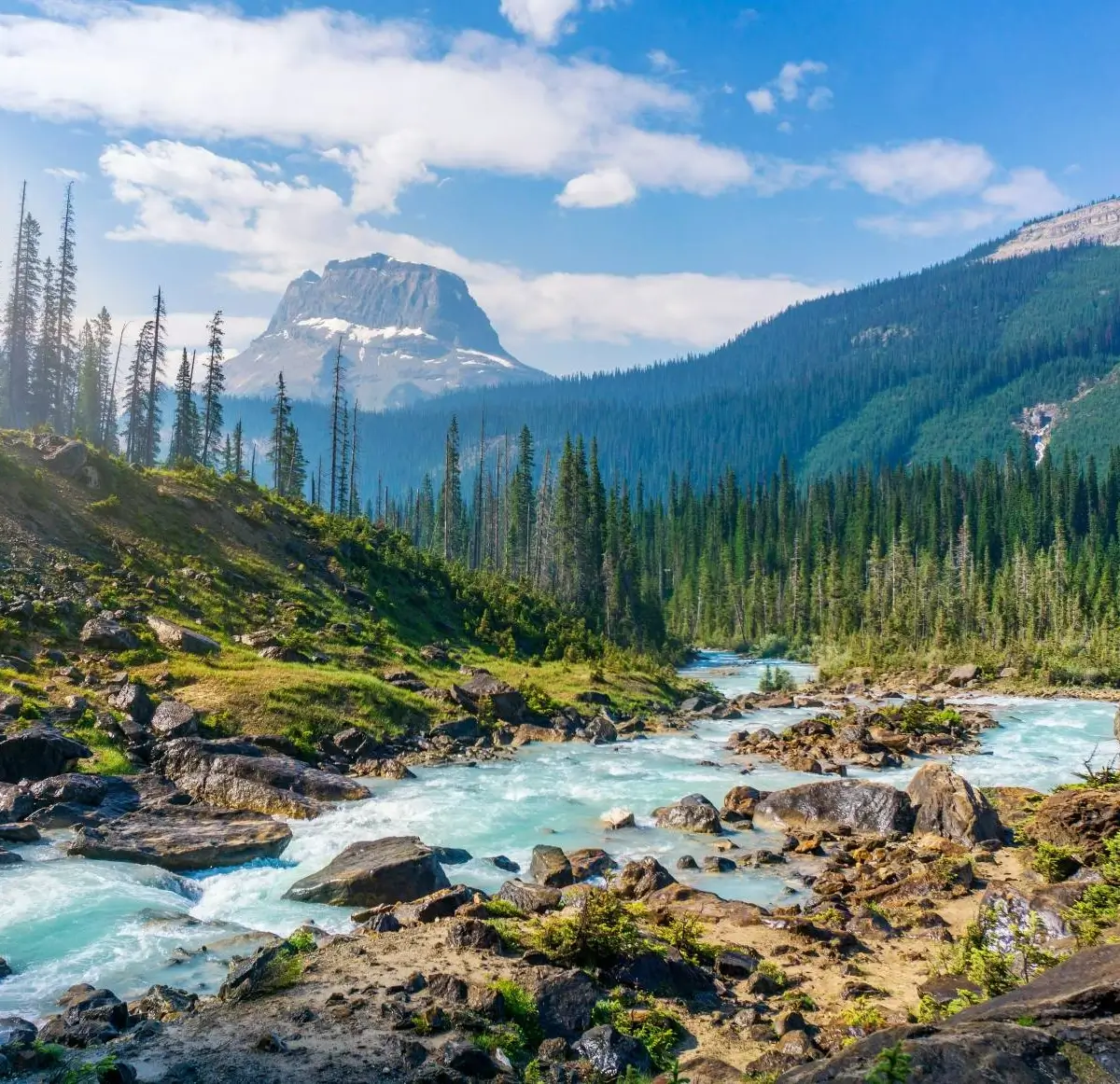 A river flowing through trees with a coned mountian in the background, Yoho National Park, Canada